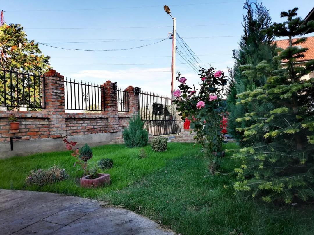 Casa Alba Hotel Navodari Bagian luar foto