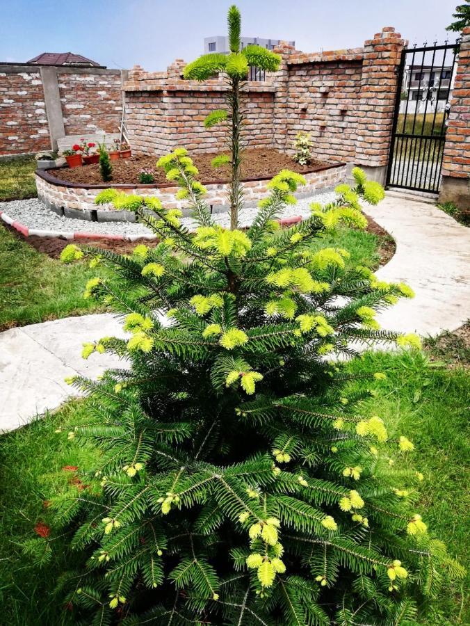 Casa Alba Hotel Navodari Bagian luar foto